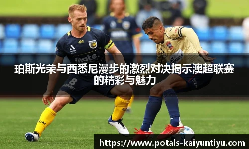 云开体育