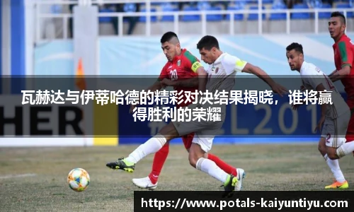 开云体育官网