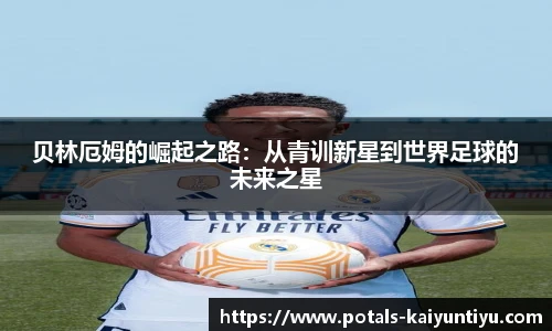 开云体育官网